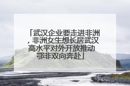 武汉企业要走进非洲，非洲女生想长居武汉 高水平对外开放推动鄂非双向奔赴