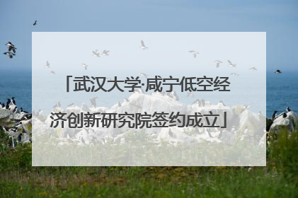 武汉大学·咸宁低空经济创新研究院签约成立