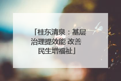 桂东清泉：基层治理提效能 改善民生增福祉