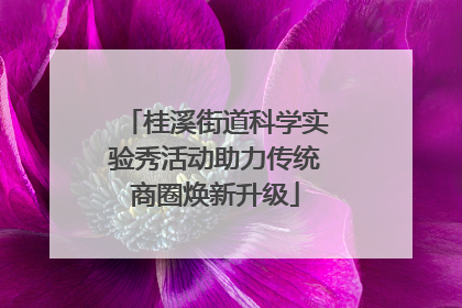 桂溪街道科学实验秀活动助力传统商圈焕新升级