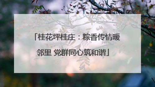 桂花坪桂庄：粽香传情暖邻里 党群同心筑和谐