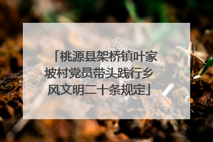 桃源县架桥镇叶家坡村党员带头践行乡风文明二十条规定