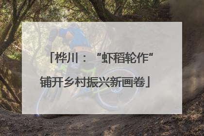 桦川：“虾稻轮作”铺开乡村振兴新画卷