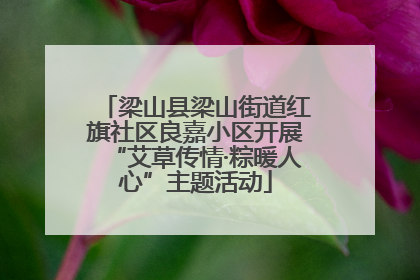 梁山县梁山街道红旗社区良嘉小区开展“艾草传情·粽暖人心”主题活动