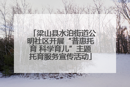 梁山县水泊街道公明社区开展“普惠托育 科学育儿”主题托育服务宣传活动