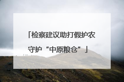 检察建议助打假护农守护“中原粮仓”