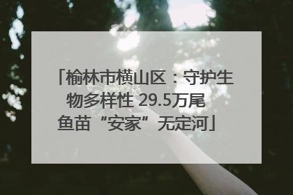 榆林市横山区：守护生物多样性 29.5万尾鱼苗“安家”无定河