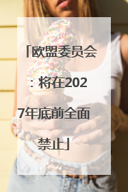 欧盟委员会：将在2027年底前全面禁止