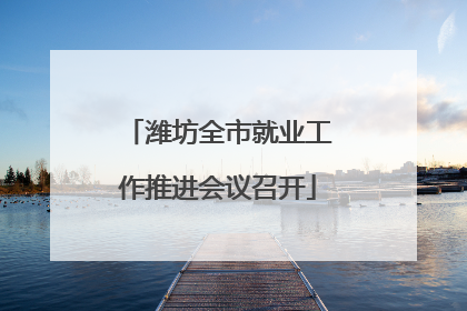 潍坊全市就业工作推进会议召开