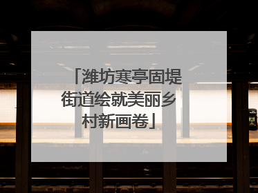 潍坊寒亭固堤街道绘就美丽乡村新画卷