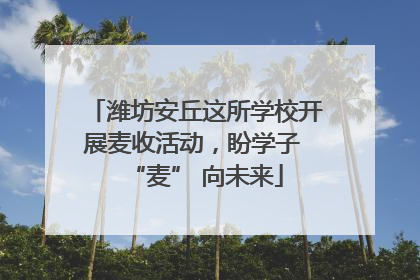潍坊安丘这所学校开展麦收活动，盼学子 “麦” 向未来