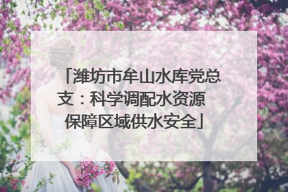 潍坊市牟山水库党总支：科学调配水资源 保障区域供水安全