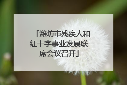 潍坊市残疾人和红十字事业发展联席会议召开