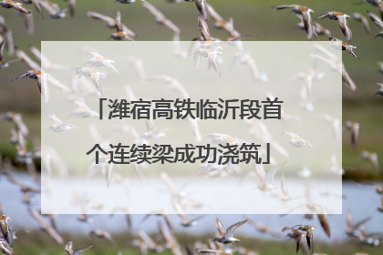 潍宿高铁临沂段首个连续梁成功浇筑