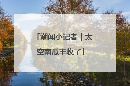 潮闻小记者｜太空南瓜丰收了