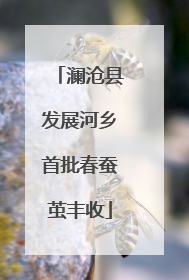 澜沧县发展河乡首批春蚕茧丰收