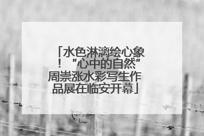 水色淋漓绘心象！“心中的自然”周崇涨水彩写生作品展在临安开幕