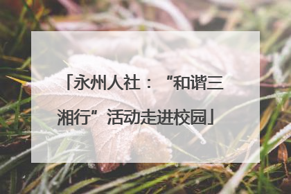 永州人社：“和谐三湘行”活动走进校园