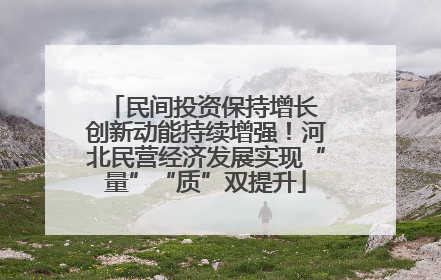 民间投资保持增长 创新动能持续增强！河北民营经济发展实现“量”“质”双提升