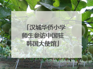 汉城华侨小学师生参访中国驻韩国大使馆