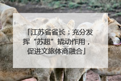 江苏省省长：充分发挥“苏超”撬动作用，促进文旅体商融合