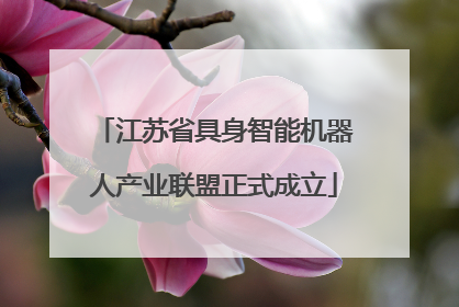 江苏省具身智能机器人产业联盟正式成立