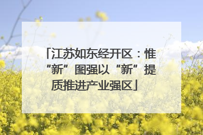 江苏如东经开区：惟“新”图强以“新”提质推进产业强区