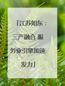 江苏如东：三产融合 服务业引擎加速发力