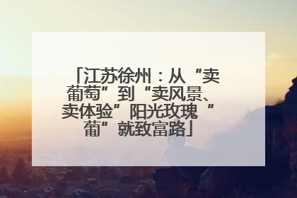 江苏徐州：从“卖葡萄”到“卖风景、卖体验”阳光玫瑰“葡”就致富路