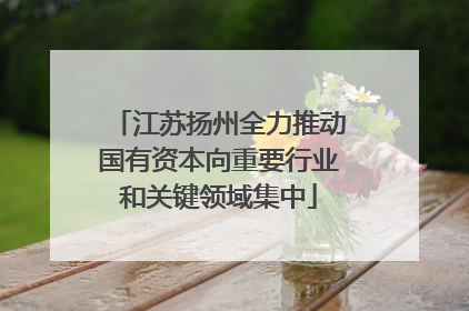 江苏扬州全力推动国有资本向重要行业和关键领域集中