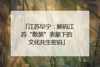 江苏阜宁：解码江苏“散装”表象下的文化共生密码