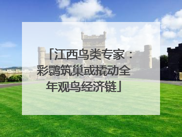 江西鸟类专家：彩鹮筑巢或撬动全年观鸟经济链