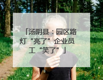 汤阴县：园区路灯“亮了”企业员工“笑了”