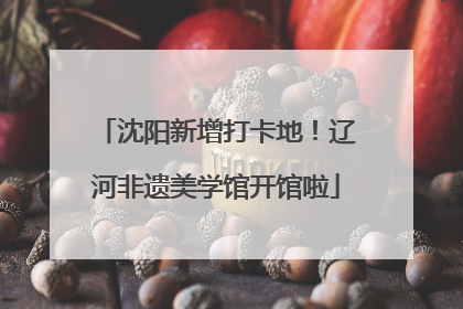 沈阳新增打卡地！辽河非遗美学馆开馆啦