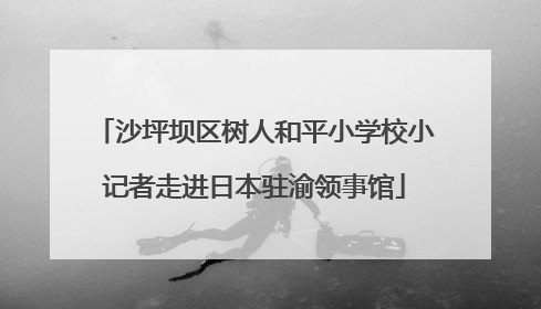 沙坪坝区树人和平小学校小记者走进日本驻渝领事馆