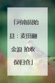 河南固始县：麦田翻金浪 抢收保归仓