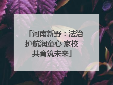 河南新野：法治护航润童心 家校共育筑未来