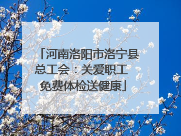 河南洛阳市洛宁县总工会：关爱职工 免费体检送健康
