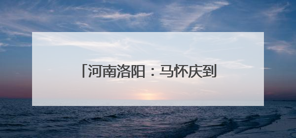 河南洛阳：马怀庆到偃师区指导调研防汛综合应急演练等工作