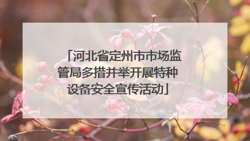 河北省定州市市场监管局多措并举开展特种设备安全宣传活动