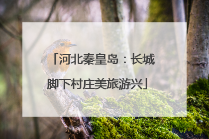 河北秦皇岛：长城脚下村庄美旅游兴