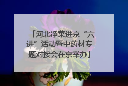 河北净菜进京“六进”活动暨中药材专题对接会在京举办