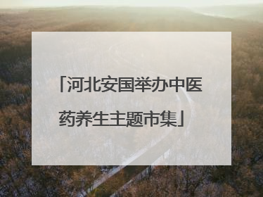 河北安国举办中医药养生主题市集