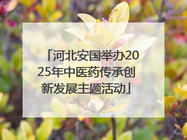 河北安国举办2025年中医药传承创新发展主题活动