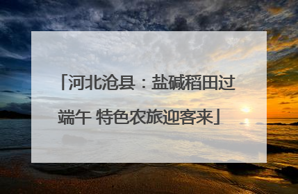 河北沧县：盐碱稻田过端午 特色农旅迎客来