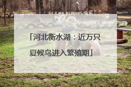 河北衡水湖：近万只夏候鸟进入繁殖期