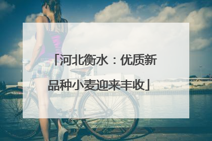 河北衡水：优质新品种小麦迎来丰收