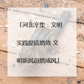 河北辛集：文明实践提质增效 文明新风蔚然成风