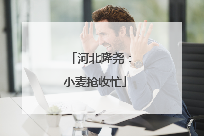 河北隆尧：小麦抢收忙