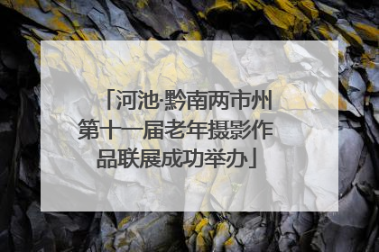 河池·黔南两市州第十一届老年摄影作品联展成功举办